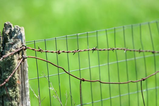 Barbed wire fence by green field