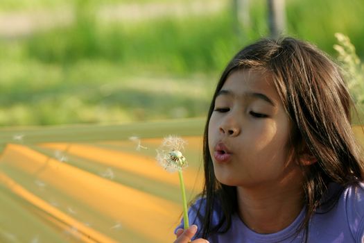 Little girl blowing on a dandelion