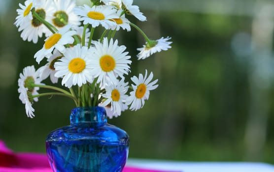 Bouquet of white daisies