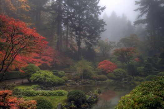 One foggy morning at the Portland Japanese Garden in the Fall