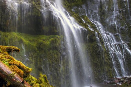Proxy Falls in Oregon