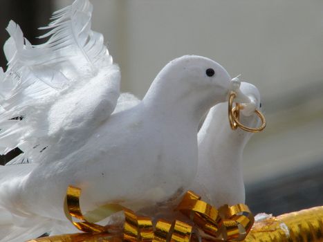 Wedding decorations with white pigeons and gold rings