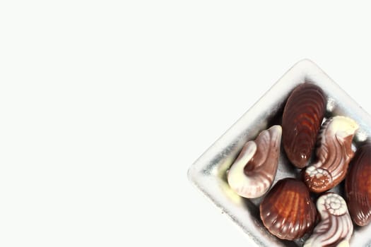 Sweet chocolate candies in the form of marine shellfish isolated on white
