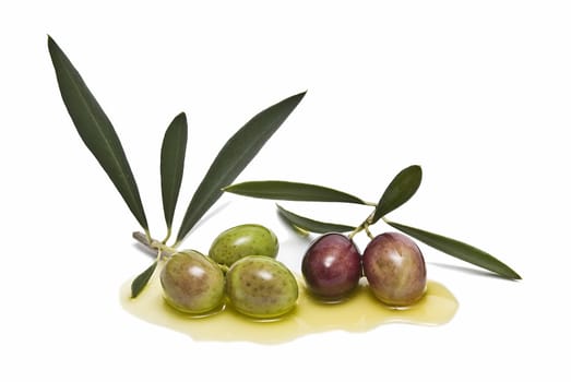 Two branches with olives and some oil.