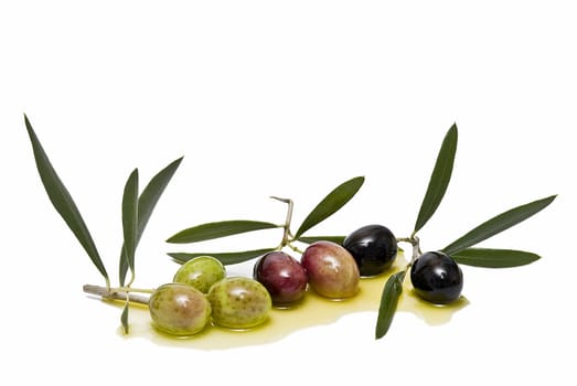 Some olives on some oil.