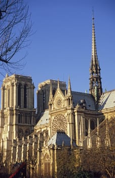 Notre Dame Cathedral, Paris in the golden dawn light.