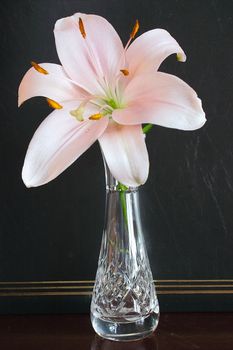 pink lily in a chrystal vase in front of a wedding album