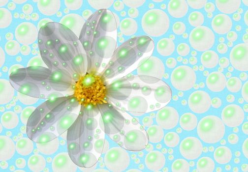 daisy washed in bubbles concept