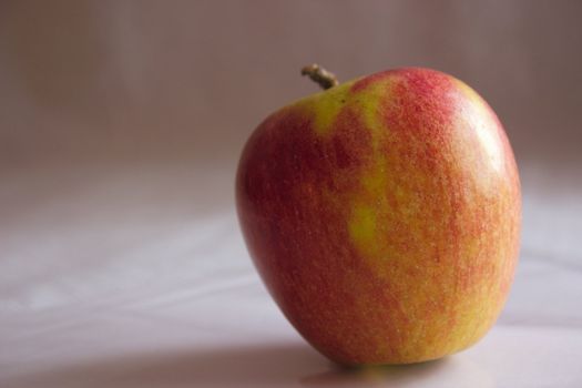 fresh braeburn apple against a light background