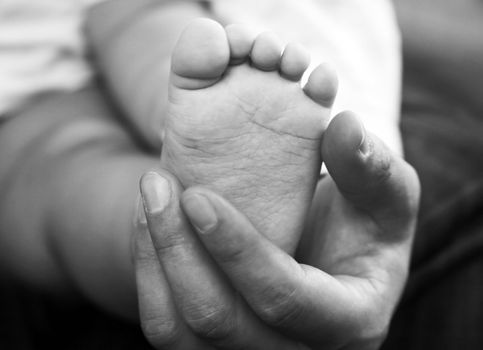 Parents hands hold baby boy legs