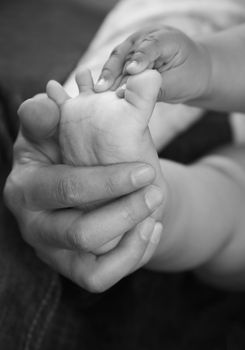 Parents hands hold baby boy legs