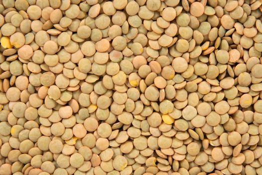 Green lentils background. Abstract food textures.