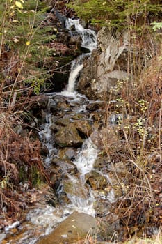 A small forest waterfall, flowing from step to stony step
