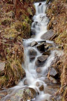 A soft-focus image of a motion-blurred forest waterfall. Framed by withered autumn grass and an occasional yellow leaf.
