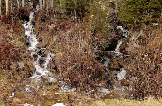 Two forest creeks erupting into waterfalls and merging into a turbulent pond
