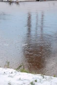 A reflection of trees in a this sheen ice, with a few threads of green grass visible through the first snow
