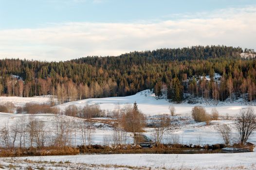 Snow-covered fields and a forest in the background. The fields are separated by several tree lines and a river. Losby, Norway.
