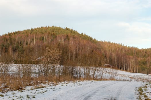 A lightly snowed-down road and a forest in the background. Losby, Norway.
