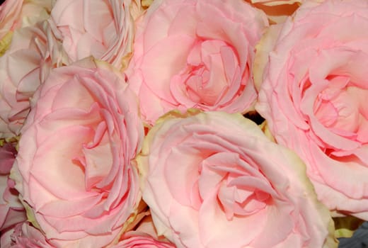 Four pink roses in a flower arrangement.
