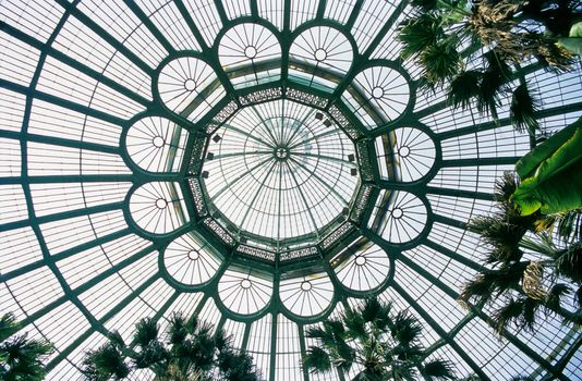 The huge glass and metal dome of the Royal Greenhouse in Laeken, Belgium is a popular tourist sight in the Brussels region. 