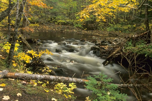 A peaceful stream runs near hiking trails in the Cape Breton Highlands National Park in Nova Scotia, Canada, surrounded by autumn colour.