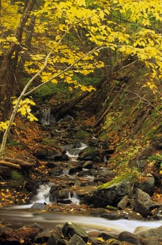 A small woodland stream creates a waterfall near a hiking trail on The Cabot Trail, Cape Breton, Nova Scotia, Canada.