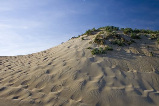 Beautiful dune under blue sky