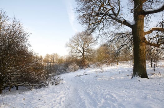 A field covered in snow with trees in the background