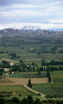 Narrow roads twist through olive groves and vineyards toward Les Baux-de-Provence and the Alpilles mountain range.