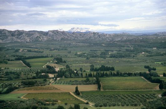 Narrow roads twist through olive groves and vineyards toward Les Baux-de-Provence and the Alpilles mountain range.