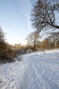 A field covered in snow with trees in the background