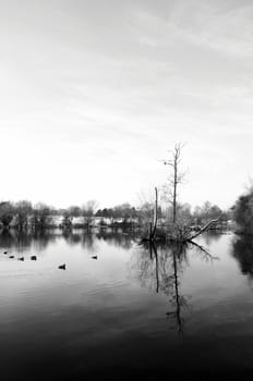 A black and white image of a lake in winter