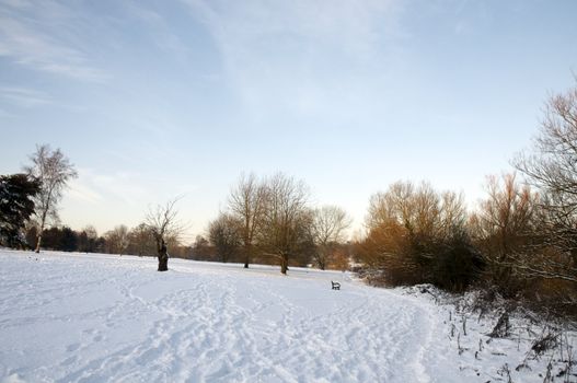A view of a park covered in snow on the ground and trees