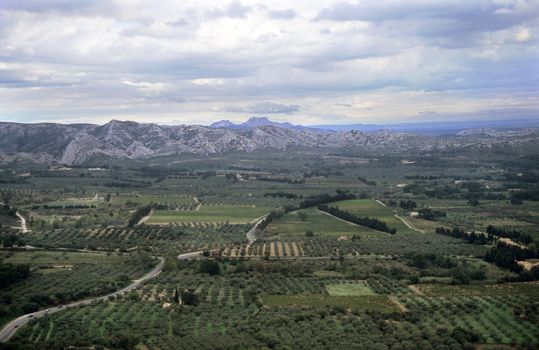 Narrow roads twist through olive groves and vineyards toward Les Baux-de-Provence and the Alpilles mountain range.