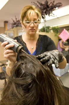 A hairdresser applying hair color to a clients head.  Shallow depth of field with focus on the hair.