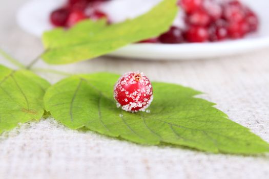 Cowberry sprinkled with sugar on green sheet against a white plate removed close up