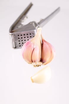 Garlic with a kitchen press on a background removed close up