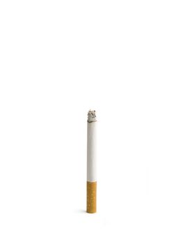 A single isolated cigarette burning up.