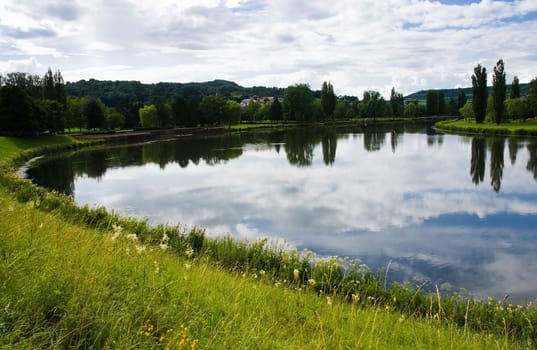 Landscape summer at the riverside with flowers and reflection in the water