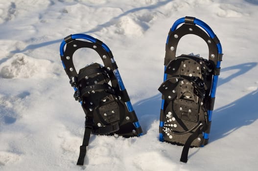 High resolution photo of a pair of snow rackets.