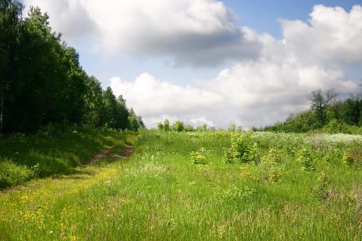 The summer green meadow which has been removed against the blue sky