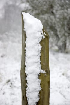 Snow on the side of a post in winter