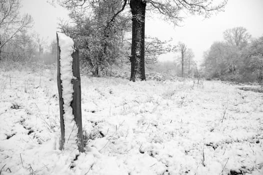 Snow on the side of a post in winter