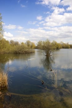 A view of a lake in spring