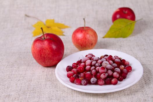 Plate of a cowberry sprinkled with sugar removed close up against a linen napkin