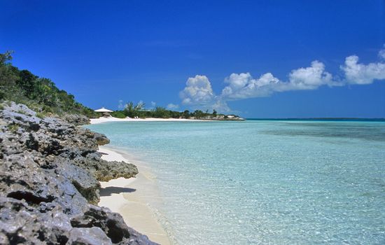The volcanic rock and white sand of a Bahamian beach.