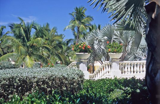 A garden of palms and tropical flowers greets visitors to Great Exuma Island in the Bahamas