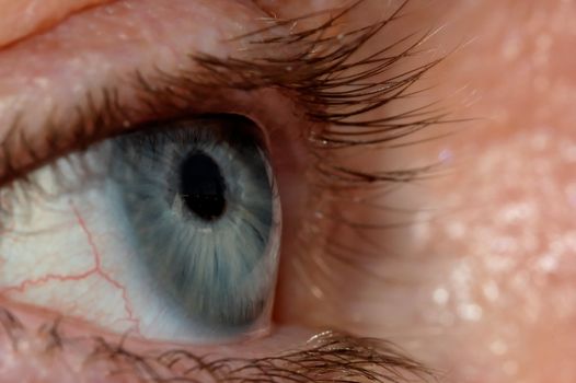 A blue eye with a window view reflection in it.
