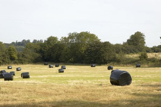 A hay bale.covered in black plastic in a field
