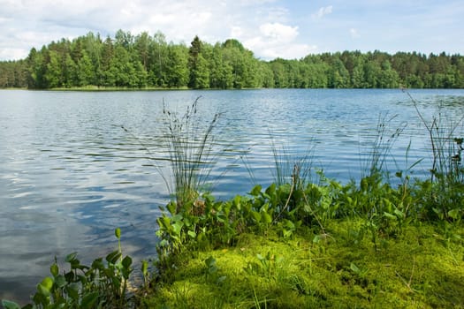 Summer at the remote forest lake